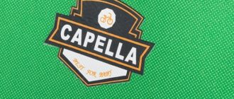 Biciclete pentru copii Capella - argumente pro și contra, sfaturi de selecție