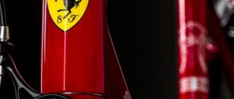 Bicicleta Ferrari - tipuri, argumente pro și contra