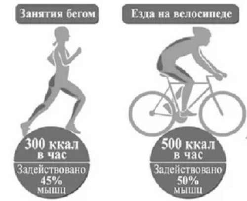 arderea caloriilor în timpul alergării și ciclismului