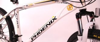 Bicicleta Phoenix - argumente pro și contra, sfaturi de selecție