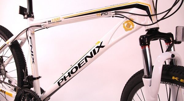 Bicicleta Phoenix - argumente pro și contra, sfaturi de selecție
