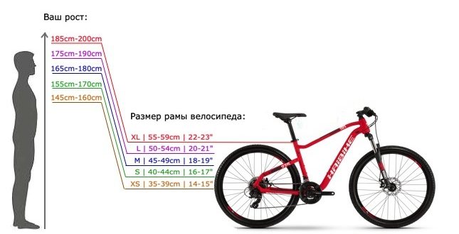 Dimensiunea cadrului de bicicletă în funcție de înălțime - cum să găsiți și să vă potriviți, tabel